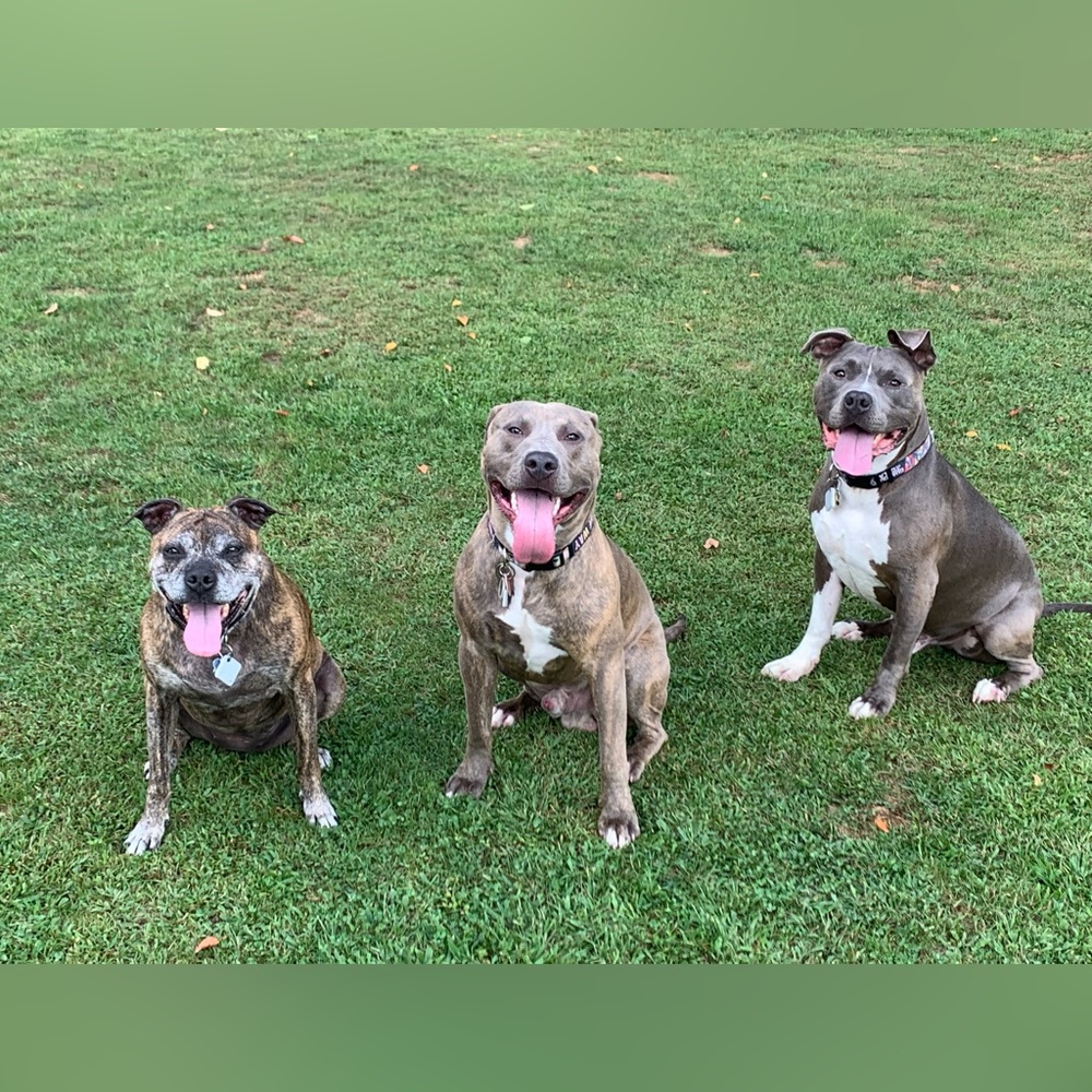 Meet your Posher, Laurie